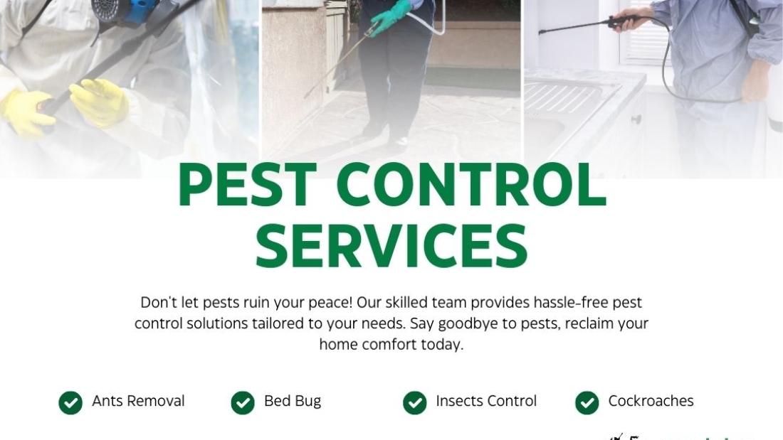 Integrated Pest Control for Residential and Commercial Properties