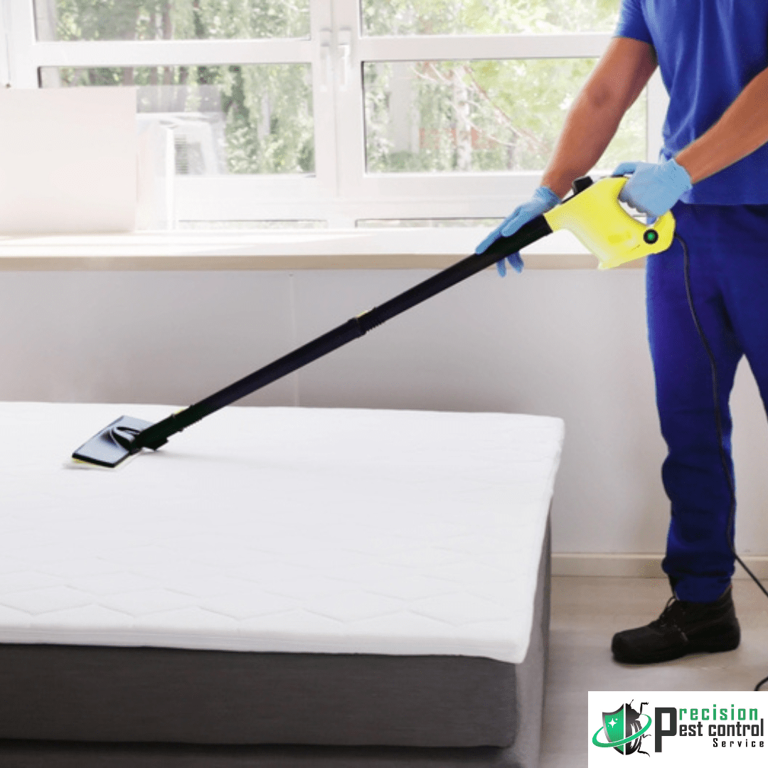 Worker Cleaning Pests on Bed