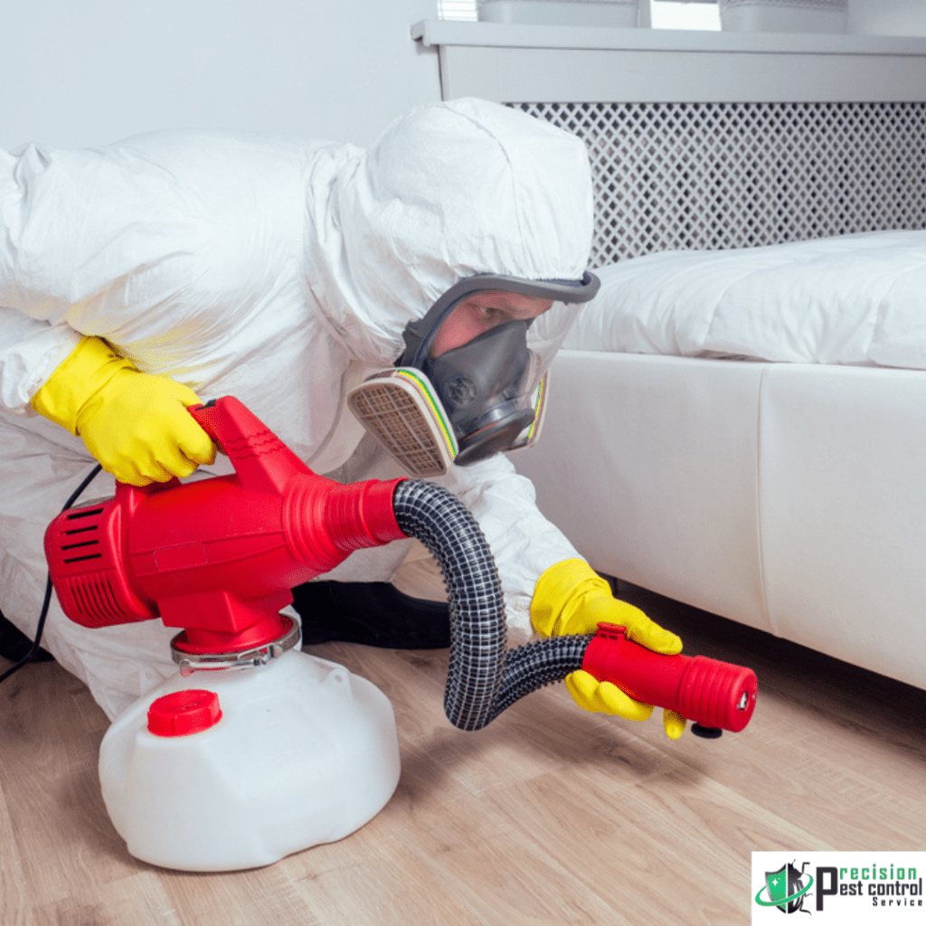 Pest Control Worker Spraying For Pests