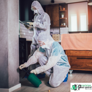 Termites Exterminators in Los Angeles California