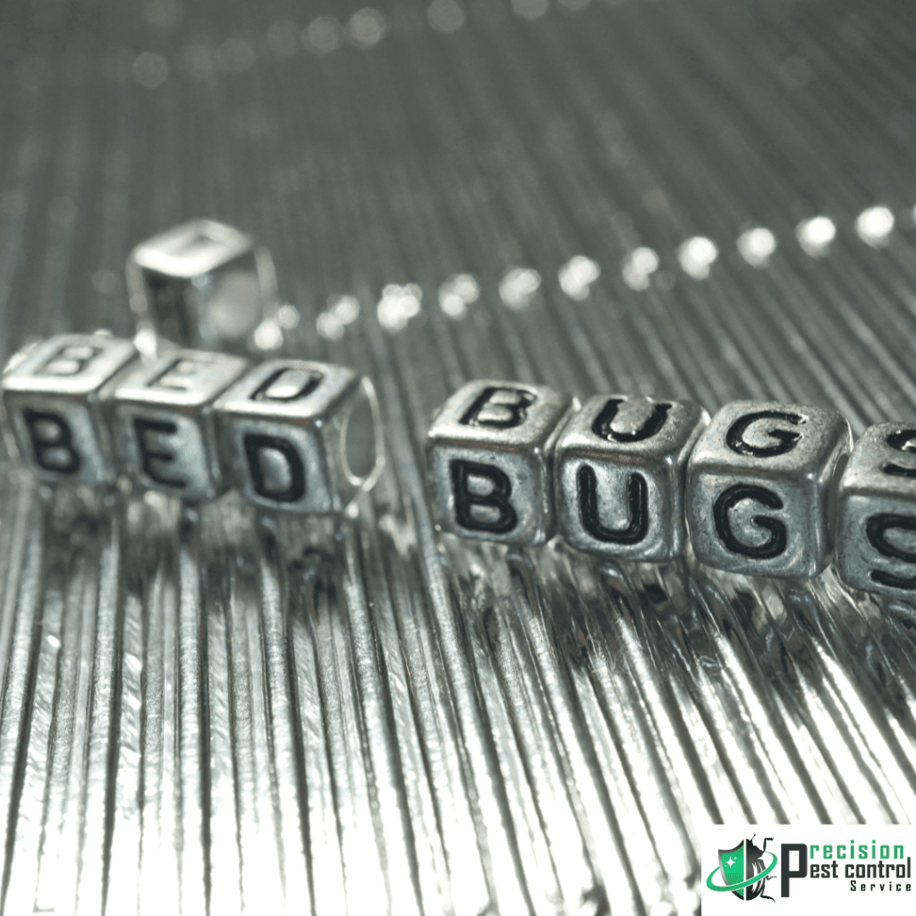 Bed Bugs Lettering on Cubes