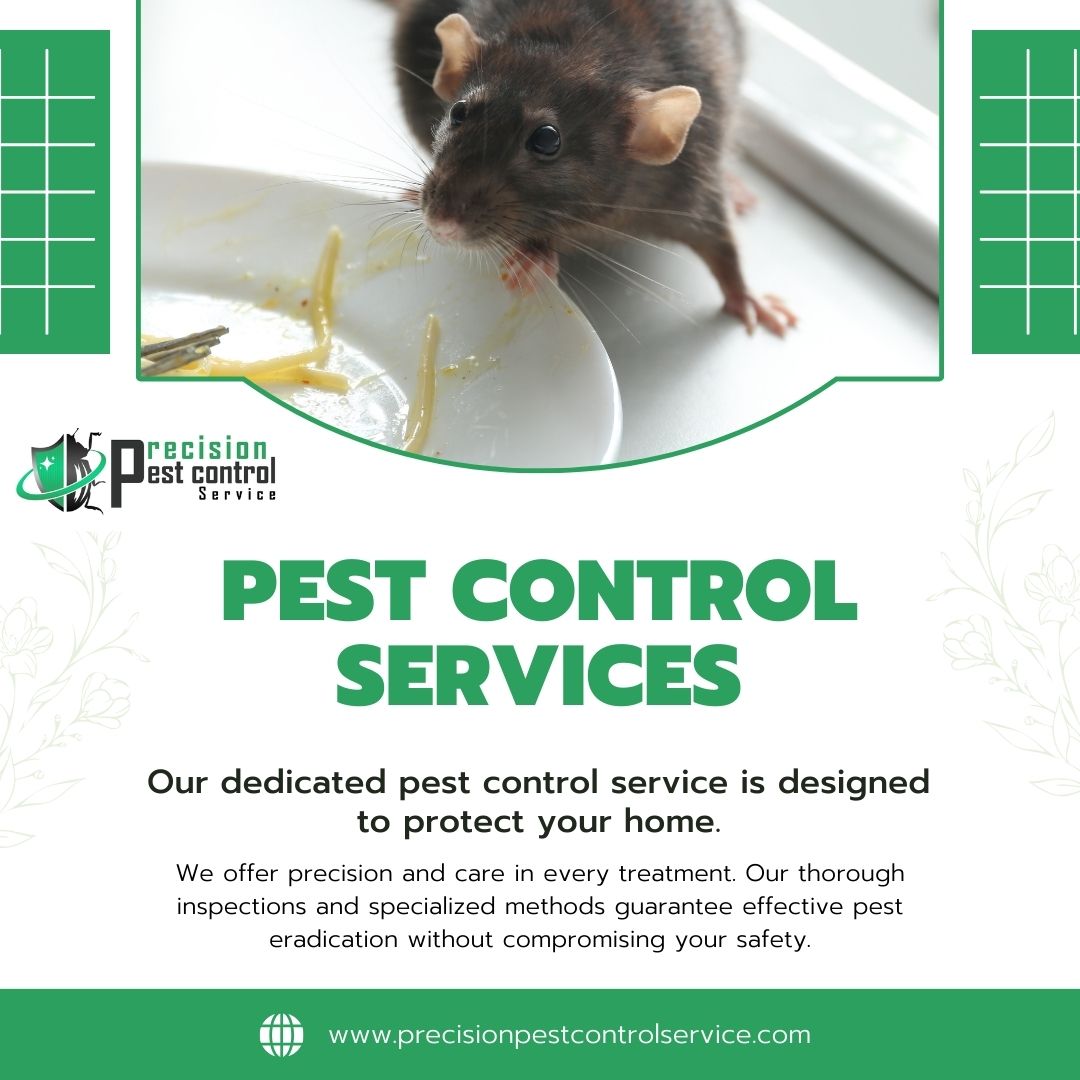 Los Angeles Rodent Control Service