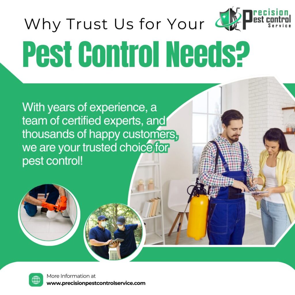 Top Qualities of Effective Pest Controller You Should Know?