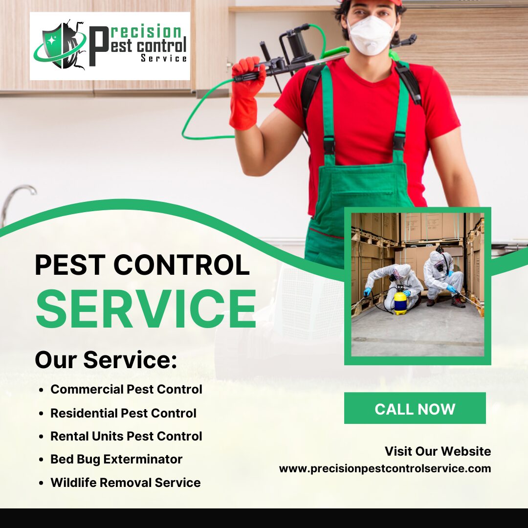 best pest control in San Fernando Valley Los Angeles